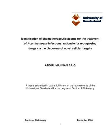 [thumbnail of Abdul Mannan Baig-PhD. 2020 Thesis without published works.pdf]